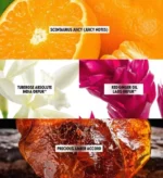 Luxurious Eau de Parfum All or Nothing Amplified by Oriflame